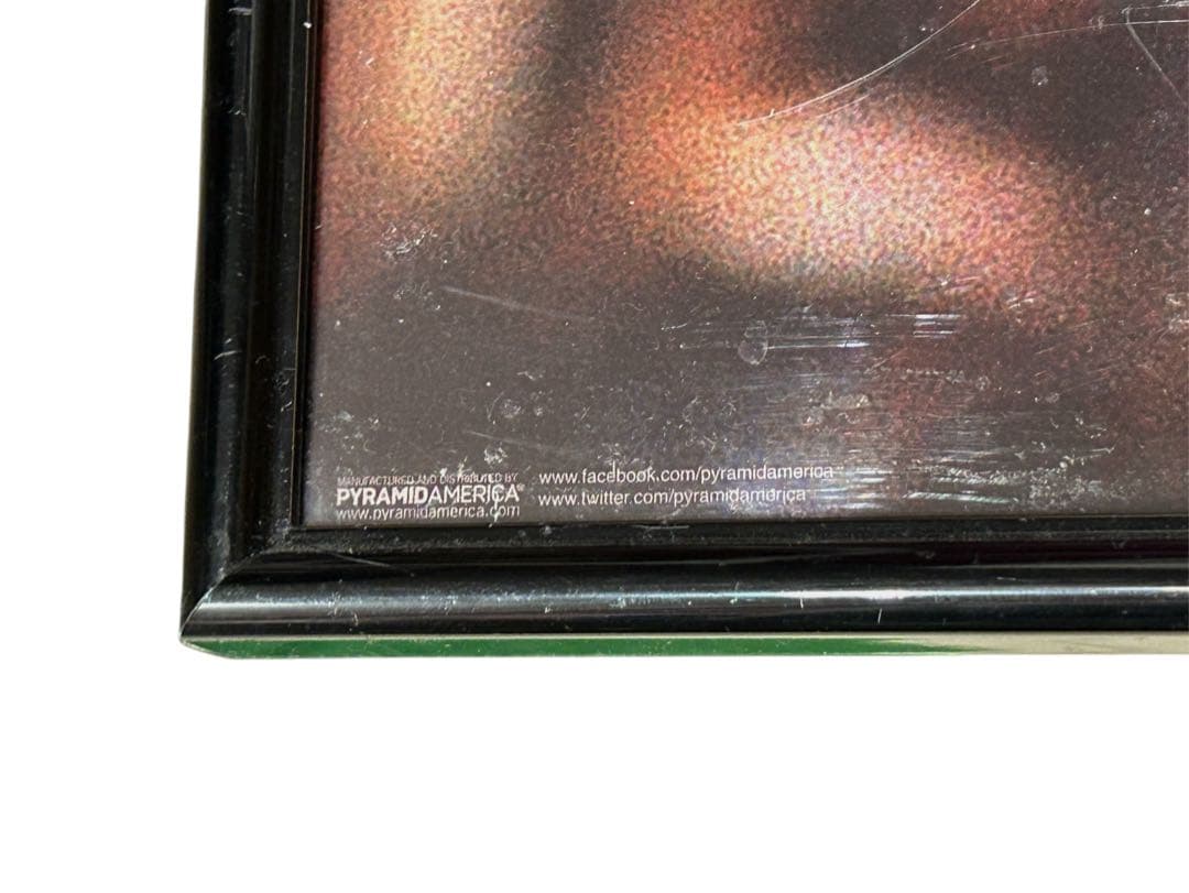 額付き NIRVANA カートコバーン MTV アンプラグド ポスター モヘア