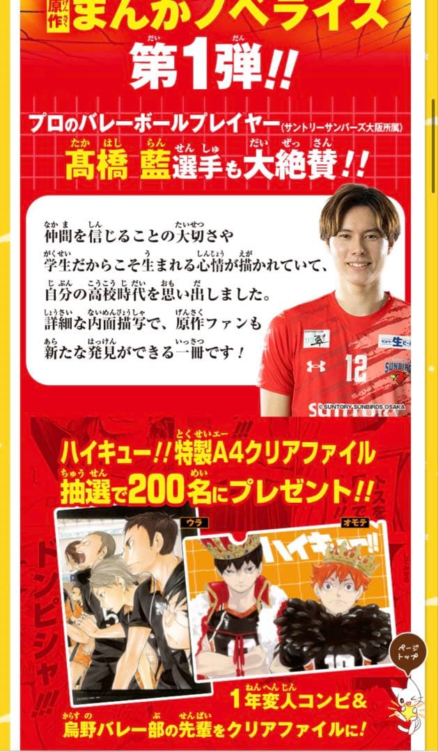 ハイキュー　まんがノベライズ第一弾　200限定抽選クリアファィル　まとめセット