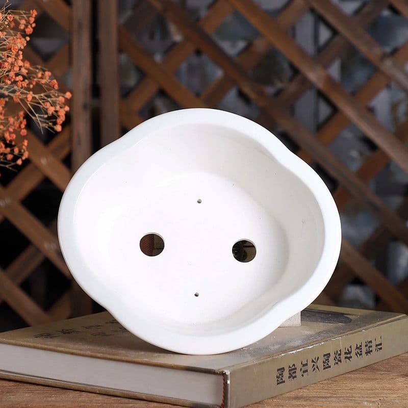 秋柿植栽鉢 盆栽鉢 山野草鉢 多肉植物 植木鉢 小品大品盆栽鉢 陶器鉢置物