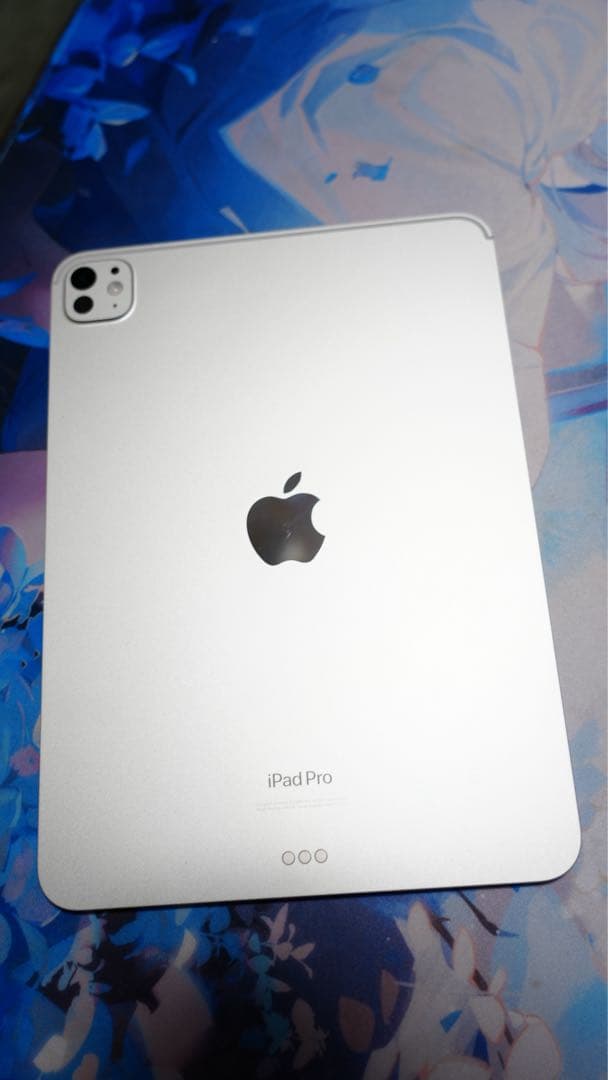 Apple iPad Pro 11インチ シルバー 本体 M4チップ 256GB