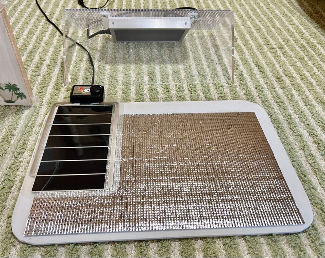 ヒョウモントカゲモドキ　レオパ　爬虫類　飼育ゲージ　一式