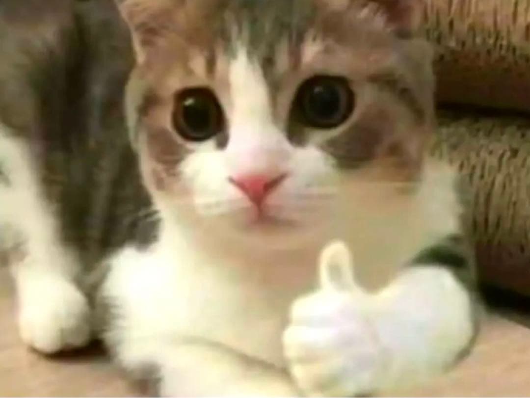 【※エラー品】 アイナナ きらどるぬいぐるみ モンぬい メガネなし 二階堂大和