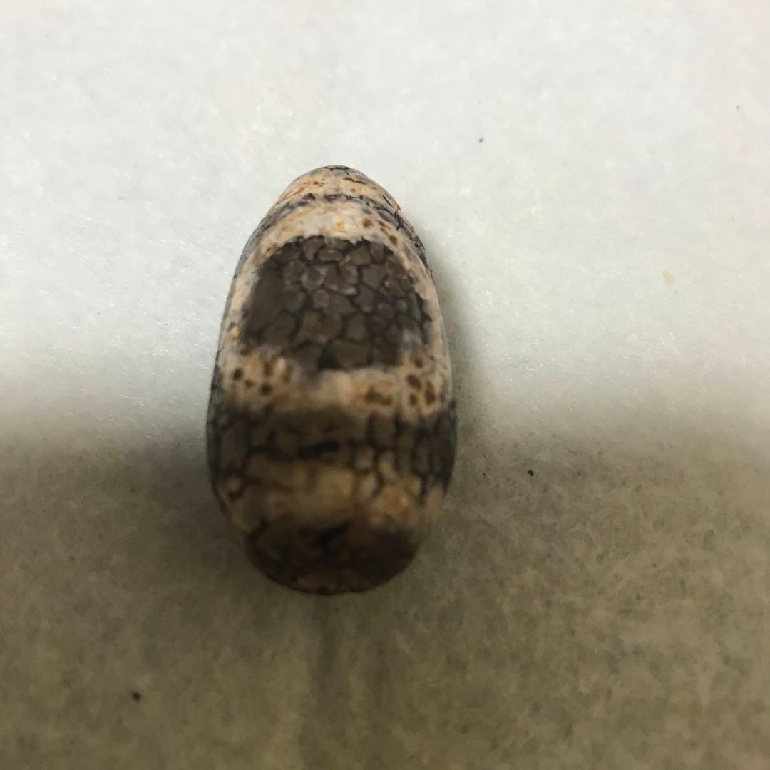 超激レア珍品‼︎ 古代老礦石　龍紋　たまご型卍一眼天珠　マニア向けフジヤマ