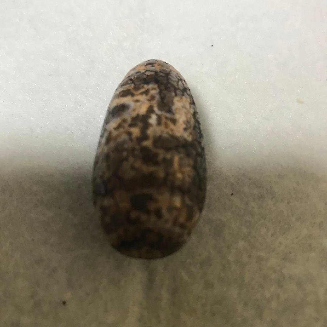 超激レア珍品‼︎ 古代老礦石　龍紋　たまご型卍一眼天珠　マニア向けフジヤマ