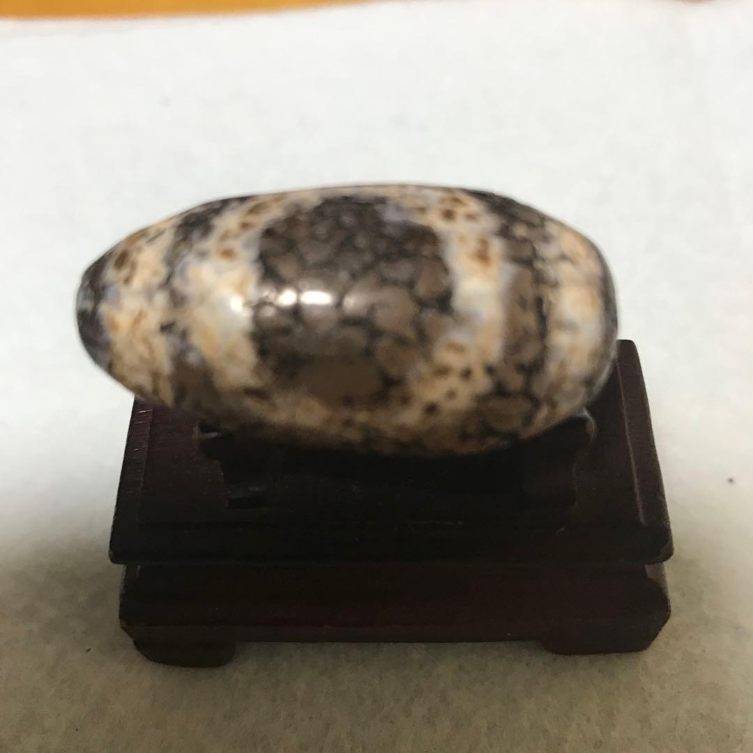 超激レア珍品‼︎ 古代老礦石　龍紋　たまご型卍一眼天珠　マニア向けフジヤマ