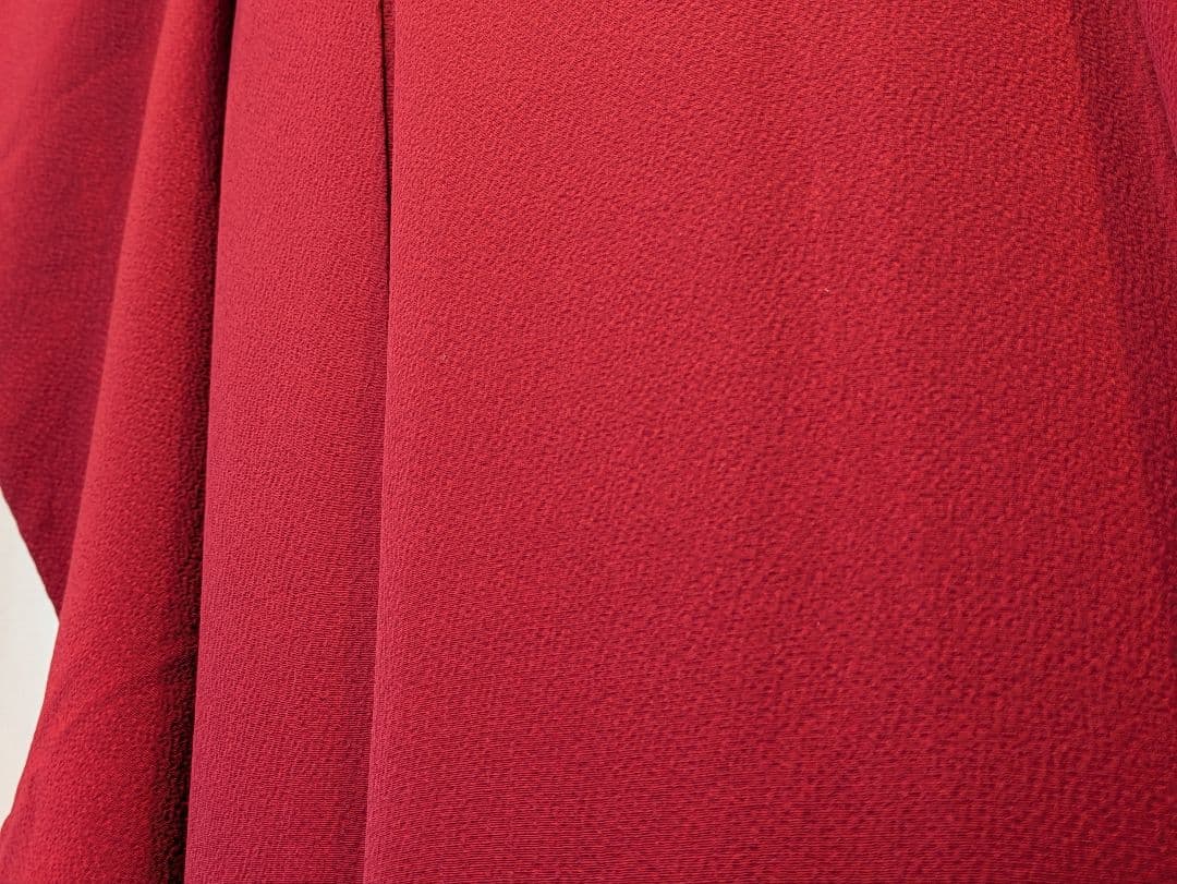 振袖フルセット 身丈157裄62 色無地 赤 蘇芳色 逸品 成人式