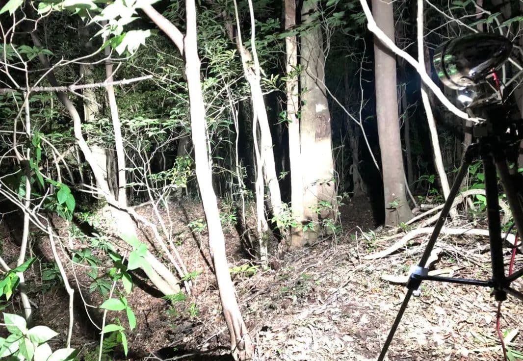 HIDライトトラップお作りします★紫外線放出加工済★連絡用