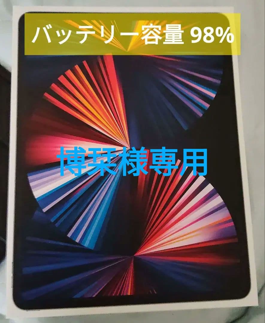 iPad Pro 12.9インチ (第5世代) 256GB Wi-Fi