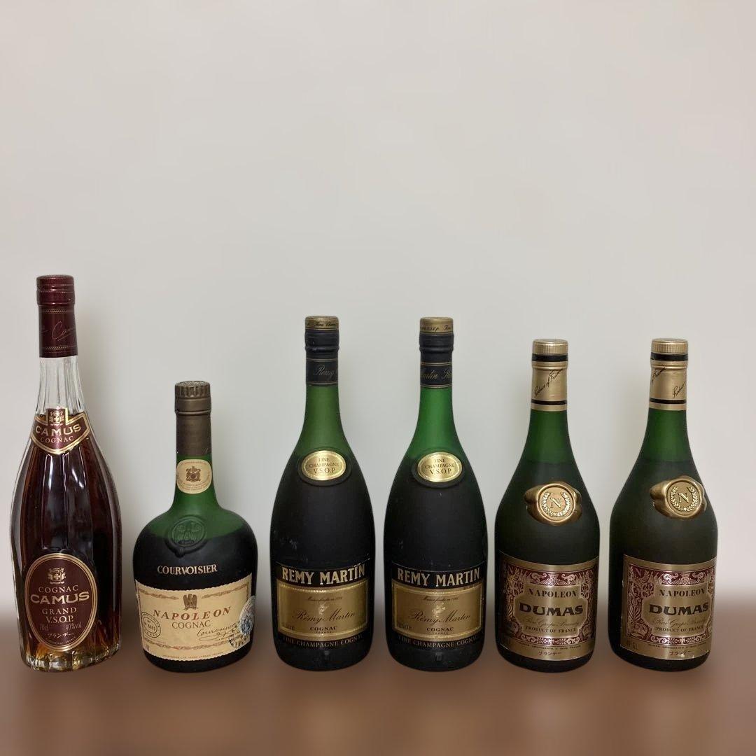 CAMUS DUMAS ナポレオン　ブランデー 700〜750ml 40%