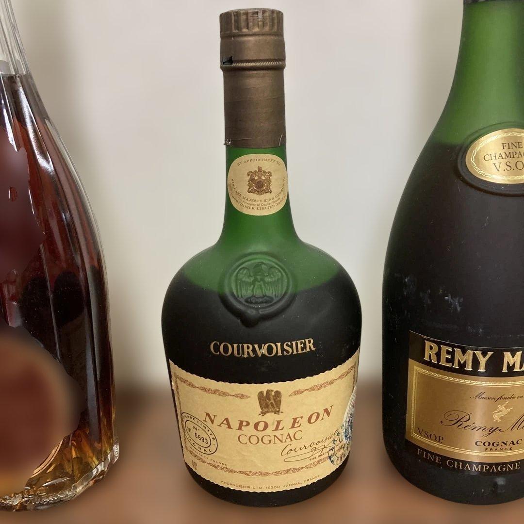 CAMUS DUMAS ナポレオン　ブランデー 700〜750ml 40%