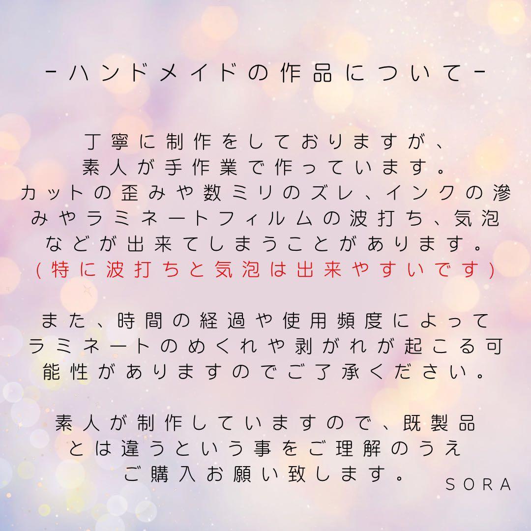 【ルミ子】　No.27プリンセス②×6セット