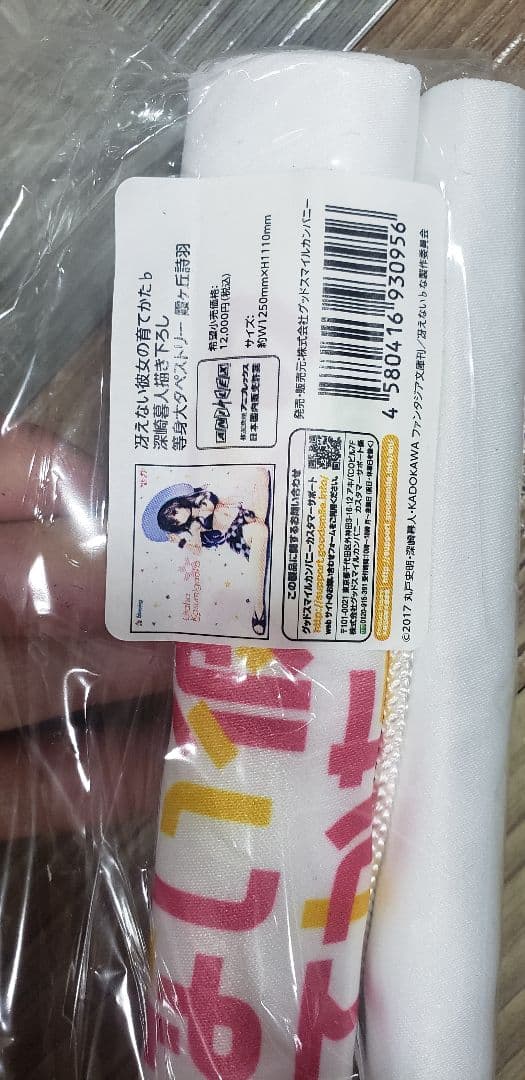 希少 冴えない彼女の育て方 水着等身大 タペストリーセット 絶版