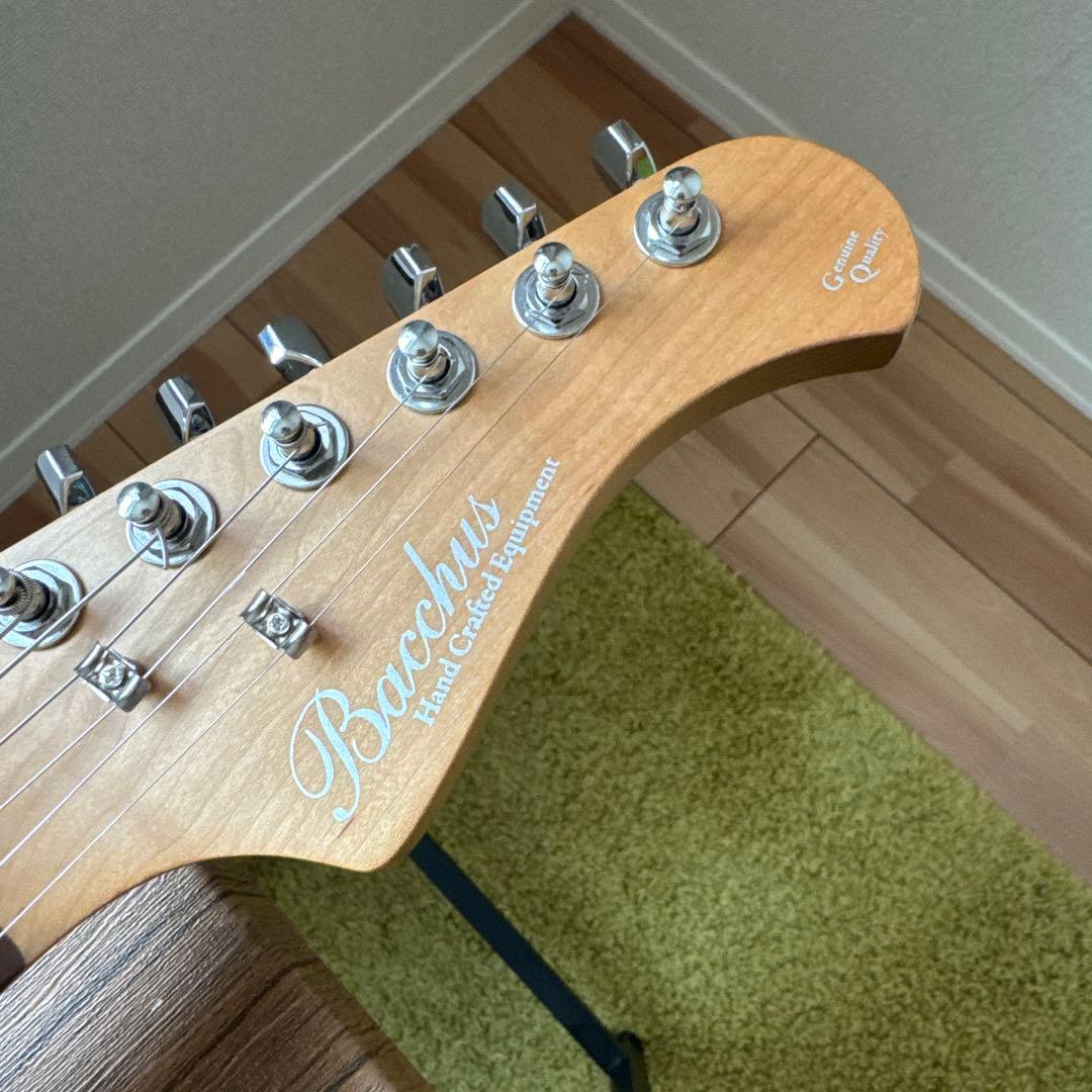 ギター Bacchus BTE-ASH25 WRS/M NA