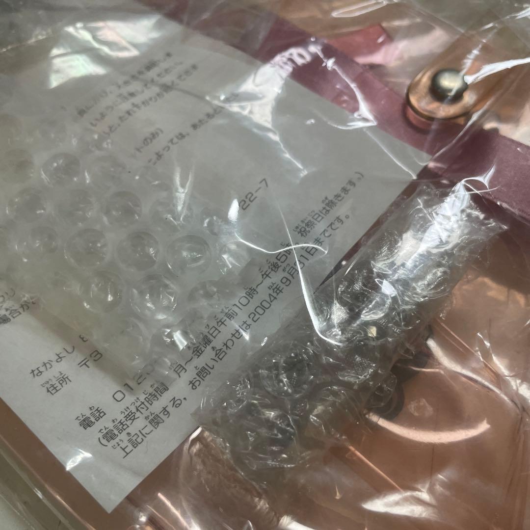 ぴちぴちピッチ なかよし 応募者全員サービス ビニールバッグ アクセサリー？