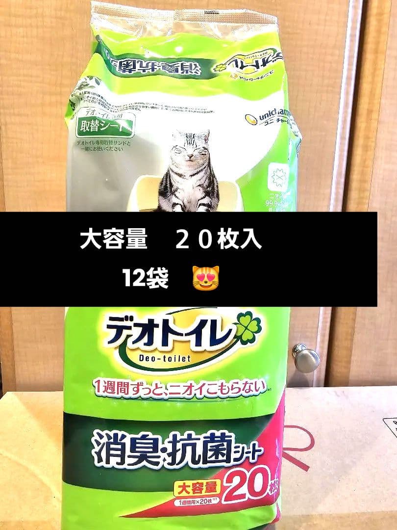デオトイレ　消臭抗菌シート　大容量２０枚入り　１２袋