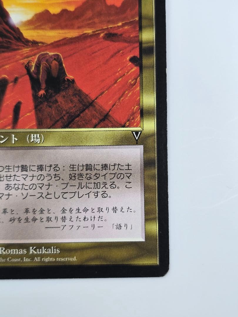 資源の浪費/Squandered Resources VIS　日本語、１枚