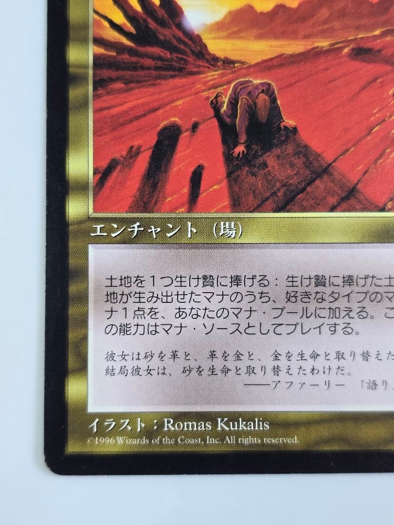 資源の浪費/Squandered Resources VIS　日本語、１枚