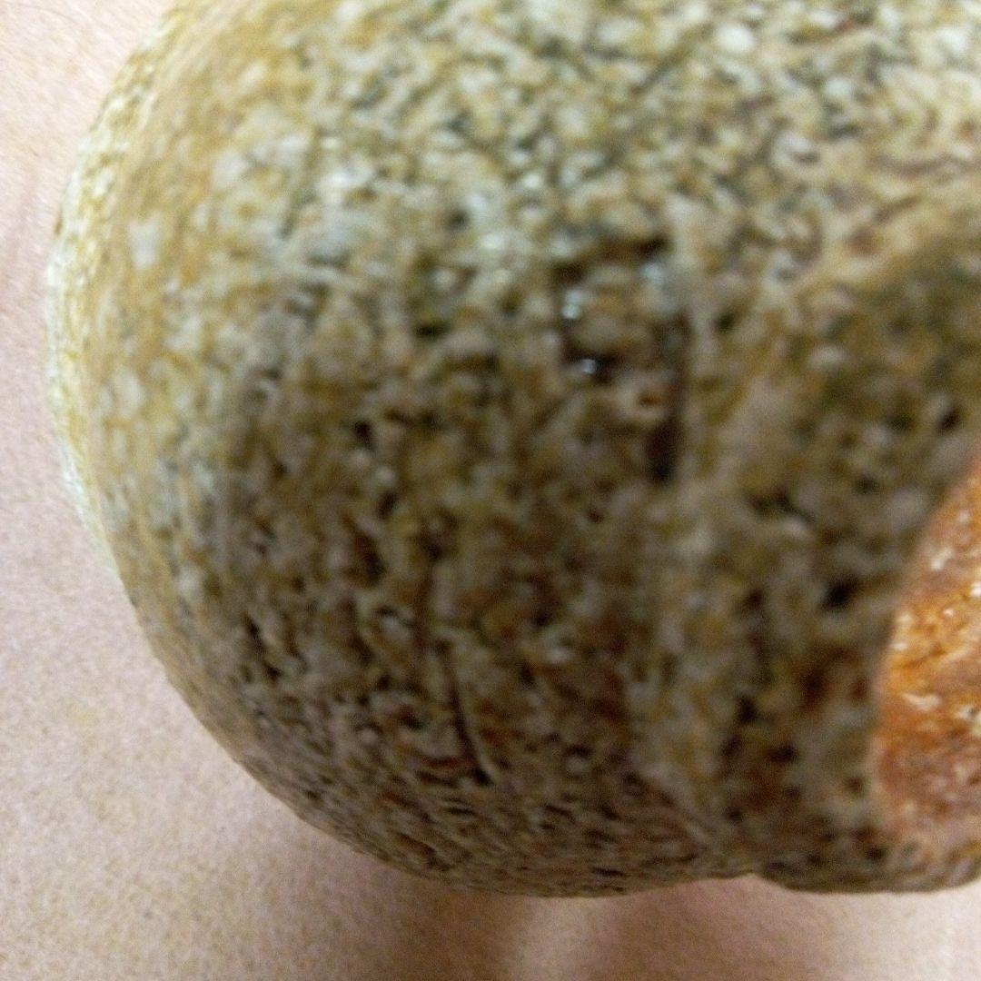 島岡達三　(人間国宝)　ぐい呑　古美術　アンティーク　共箱