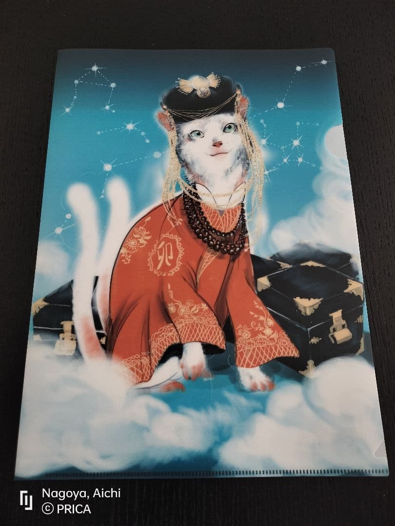 [SALE 29.999 --> 19.999]クリアファイルA4 100 枚