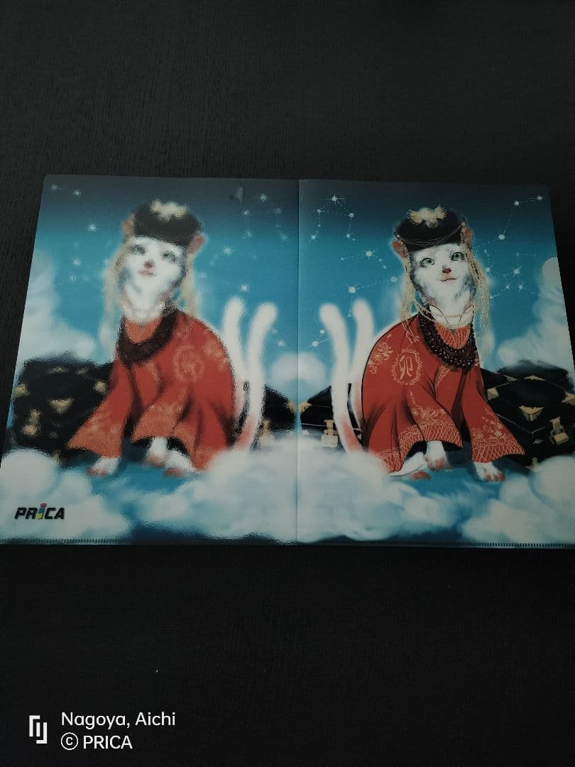 [SALE 29.999 --> 19.999]クリアファイルA4 100 枚