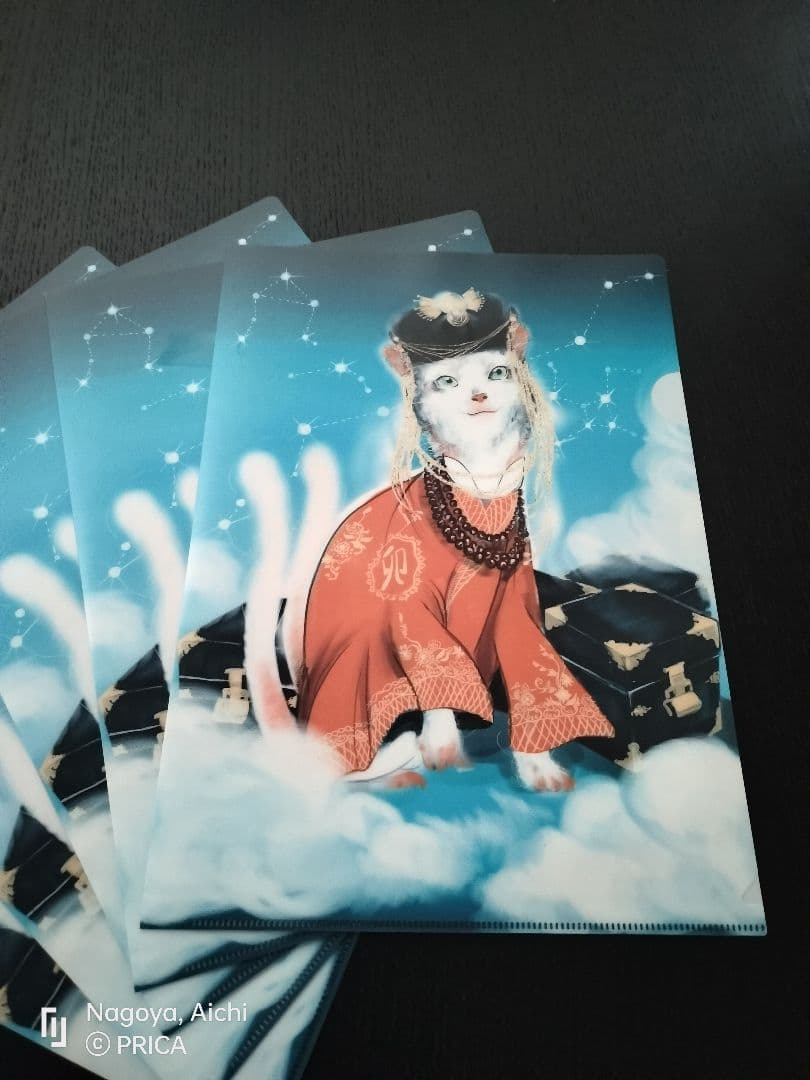 [SALE 29.999 --> 19.999]クリアファイルA4 100 枚