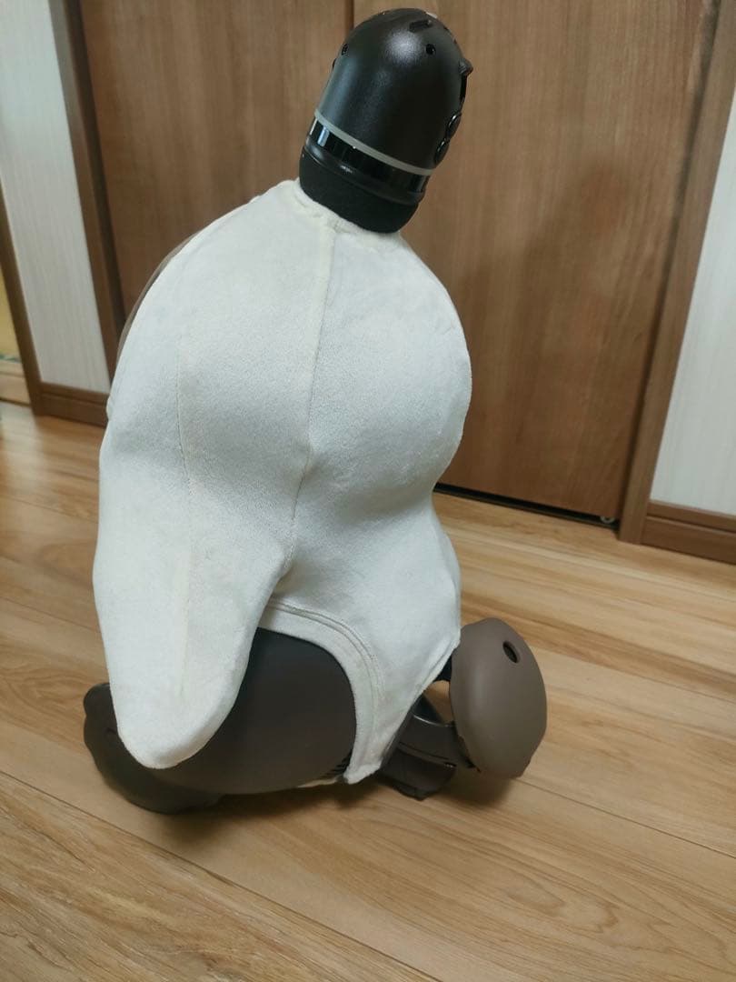 にゃんぴよ　2025年購入　LOVOT 2.0 ちゃ➕ネスト公式ウェア付き