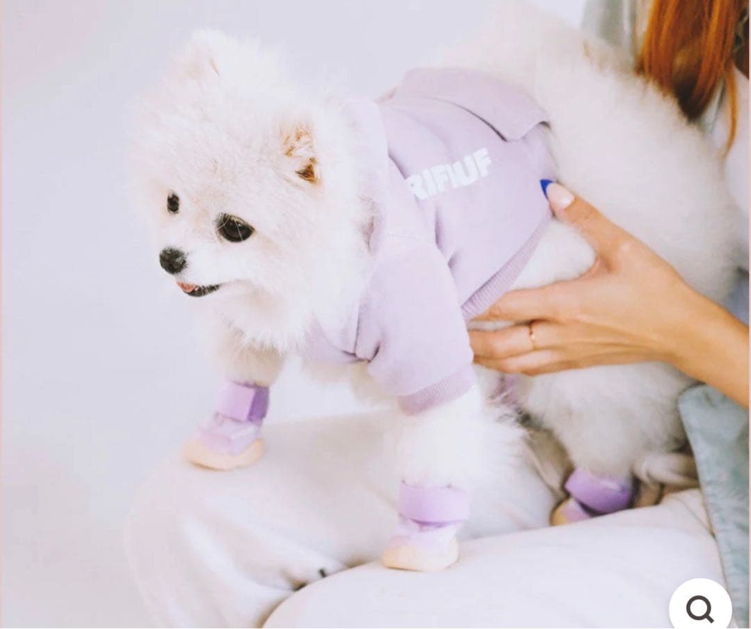 RIFRUF 犬用靴 パープル　サイズ0 リフラフドッグシューズ