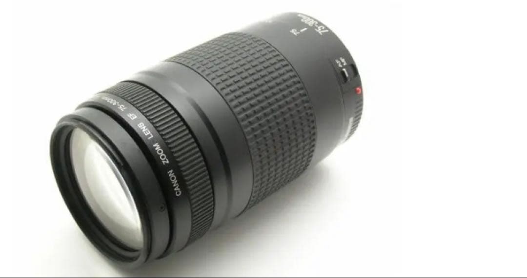 大望遠レンズ/大迫力の300㎜/キヤノン/Canon EF75-300 II