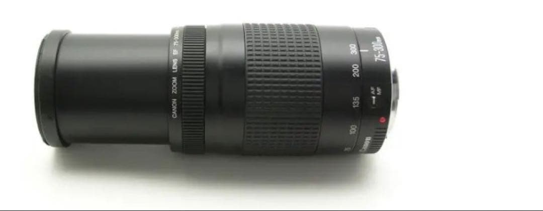 大望遠レンズ/大迫力の300㎜/キヤノン/Canon EF75-300 II