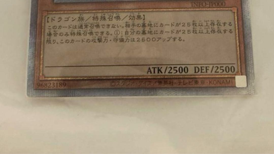 誇りと魂の龍　25th 日版