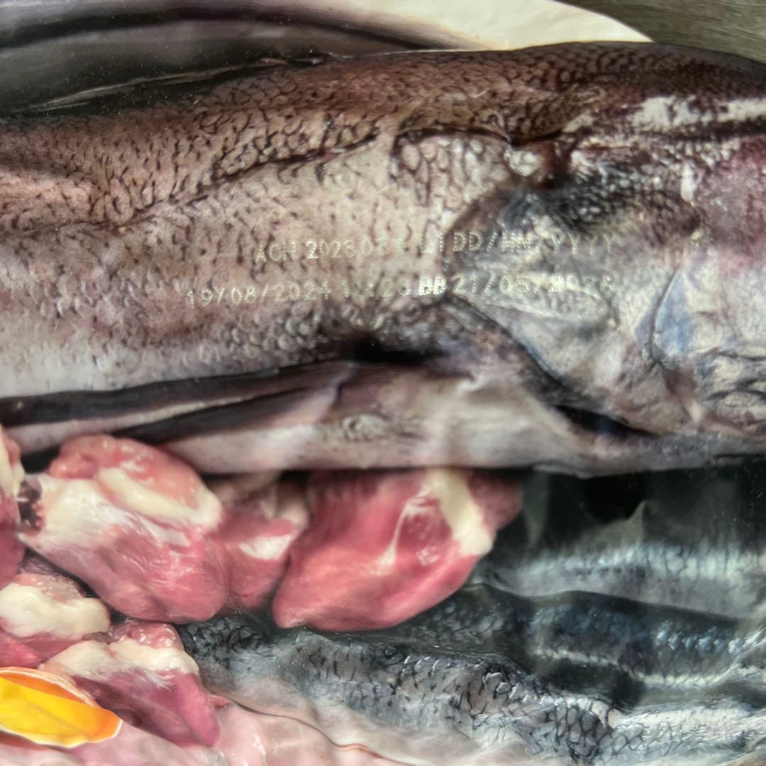 正規品Orijen Original ドライドッグフード 11.4kg