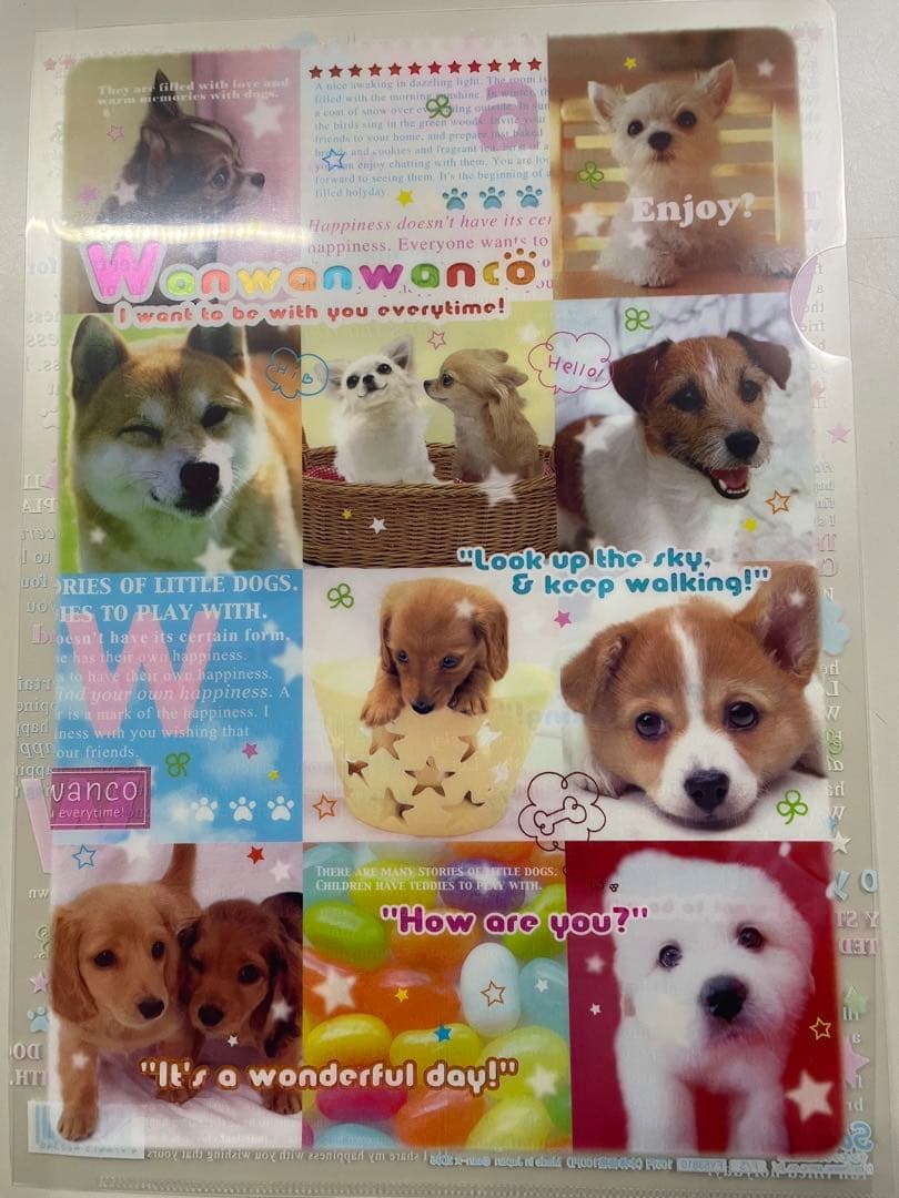 平成レトロ　サンエックス　クリアファイル　犬　8枚セット