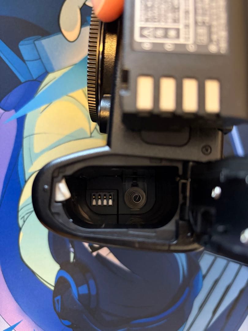 Panasonic Lumix S5Ⅱ (DC-S5M2)多数オプション＋保証書