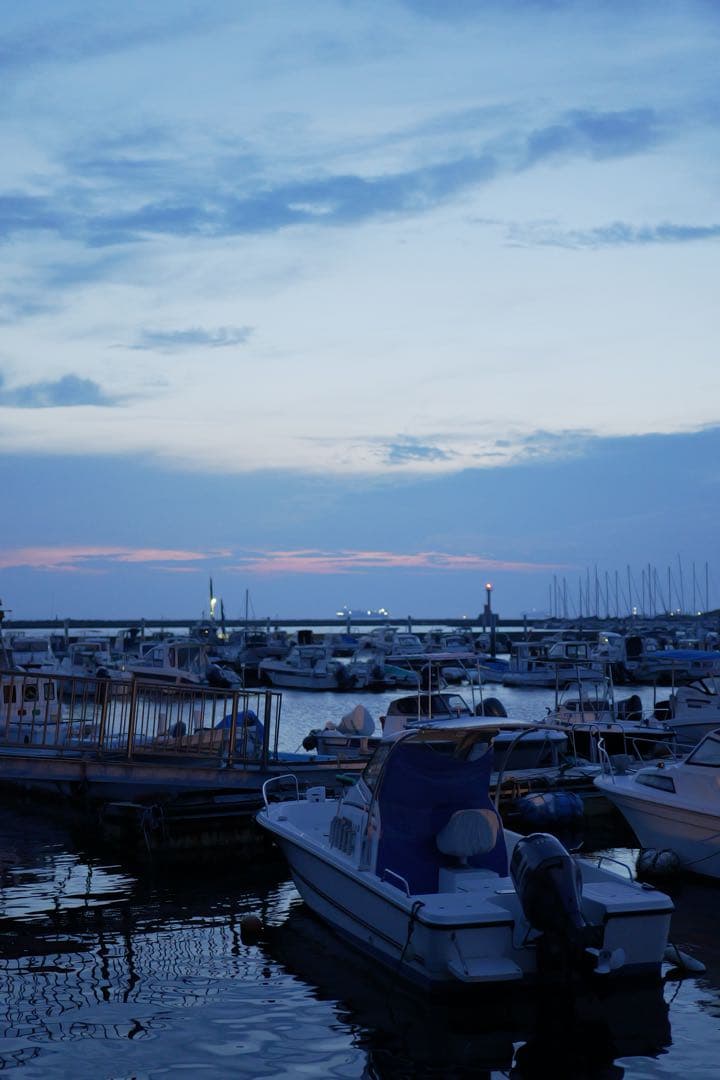 Panasonic Lumix S5Ⅱ (DC-S5M2)多数オプション＋保証書