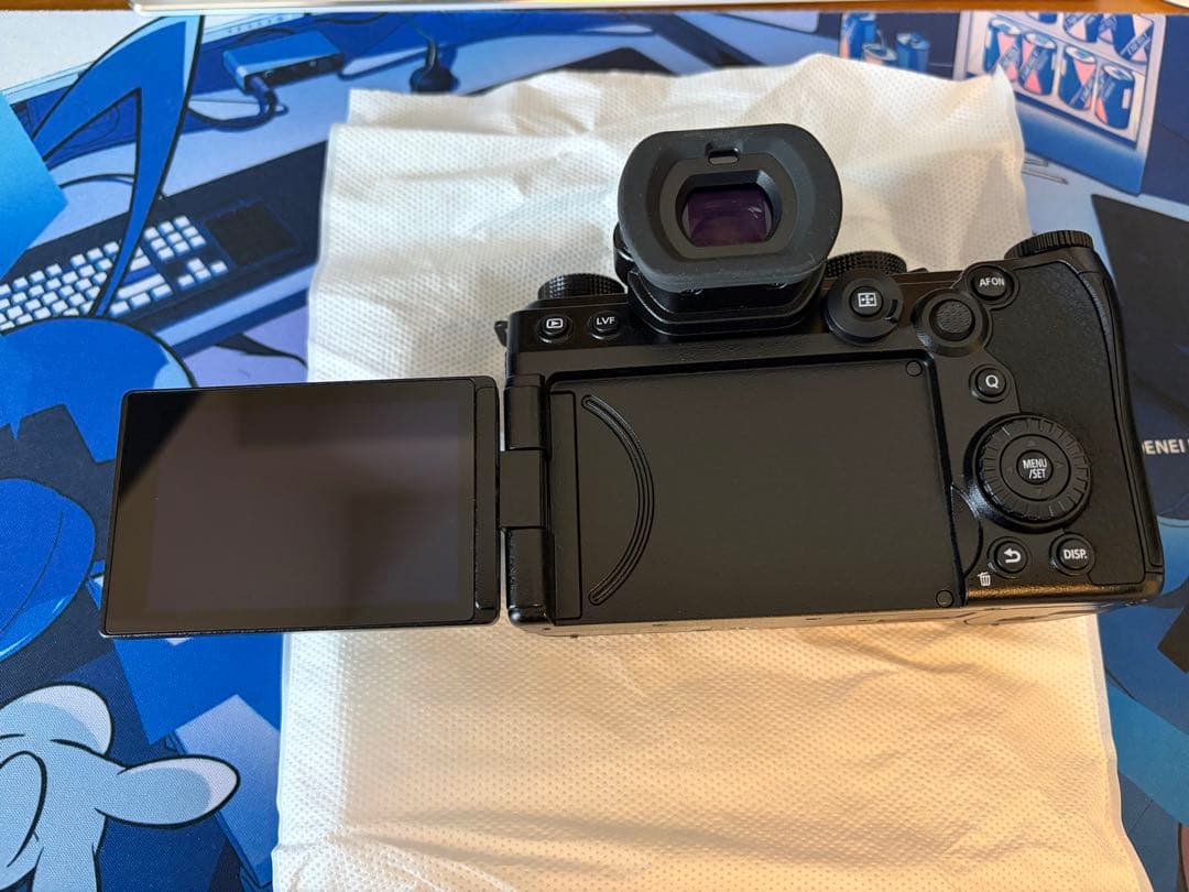 Panasonic Lumix S5Ⅱ (DC-S5M2)多数オプション＋保証書