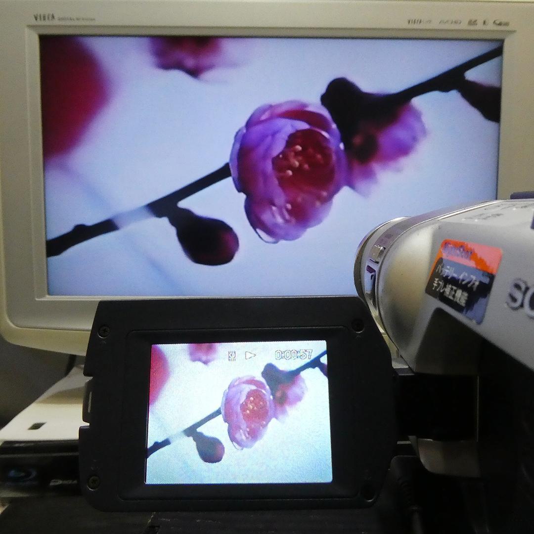 動作良好 Hi8ソニー CCD-TRV106 8ミリビデオカメラ DVD化に最適