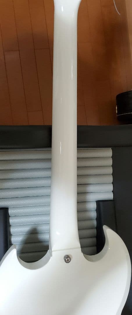 FGN NSG100-SW[カリマンタン・エボニー指板]