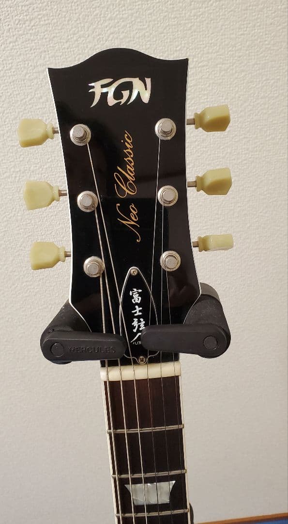 FGN NSG100-SW[カリマンタン・エボニー指板]