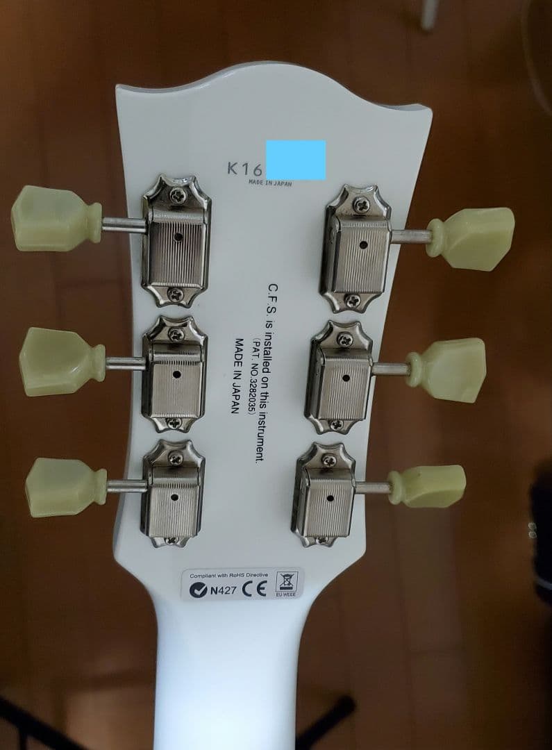 FGN NSG100-SW[カリマンタン・エボニー指板]