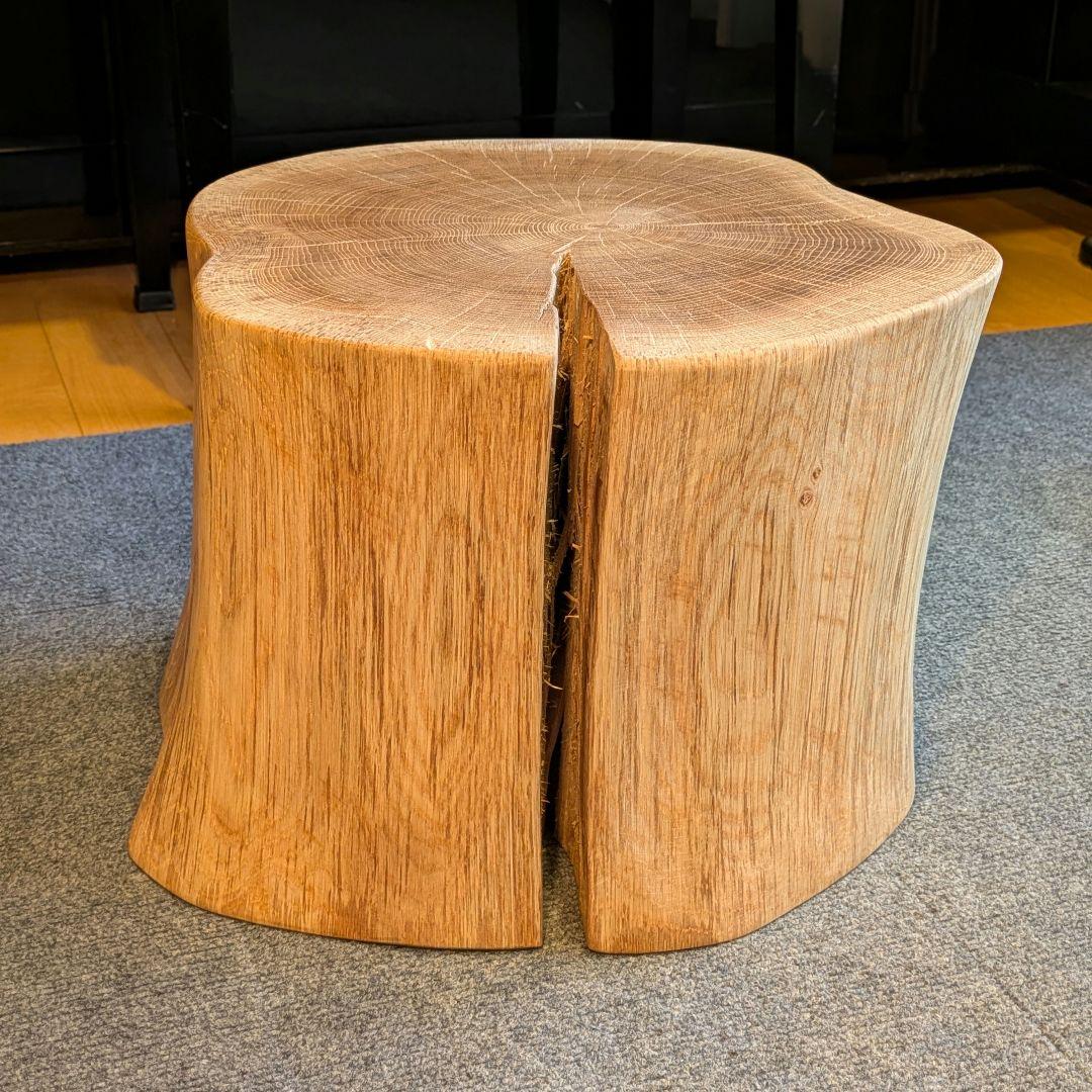 3104　　ミズナラ　水楢　天然木　切り株　丸太　輪切り　高さ約28㎝