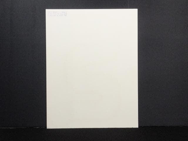 現代美術 菅井汲　直筆サイン『VARIATIONS Ⅱ』 リトグラフ 0723Y