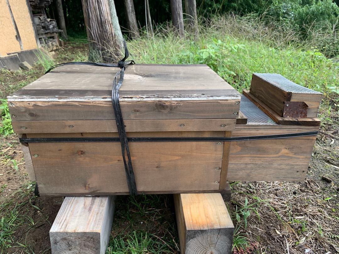 スズメバチ捕獲器　４個組　　とも