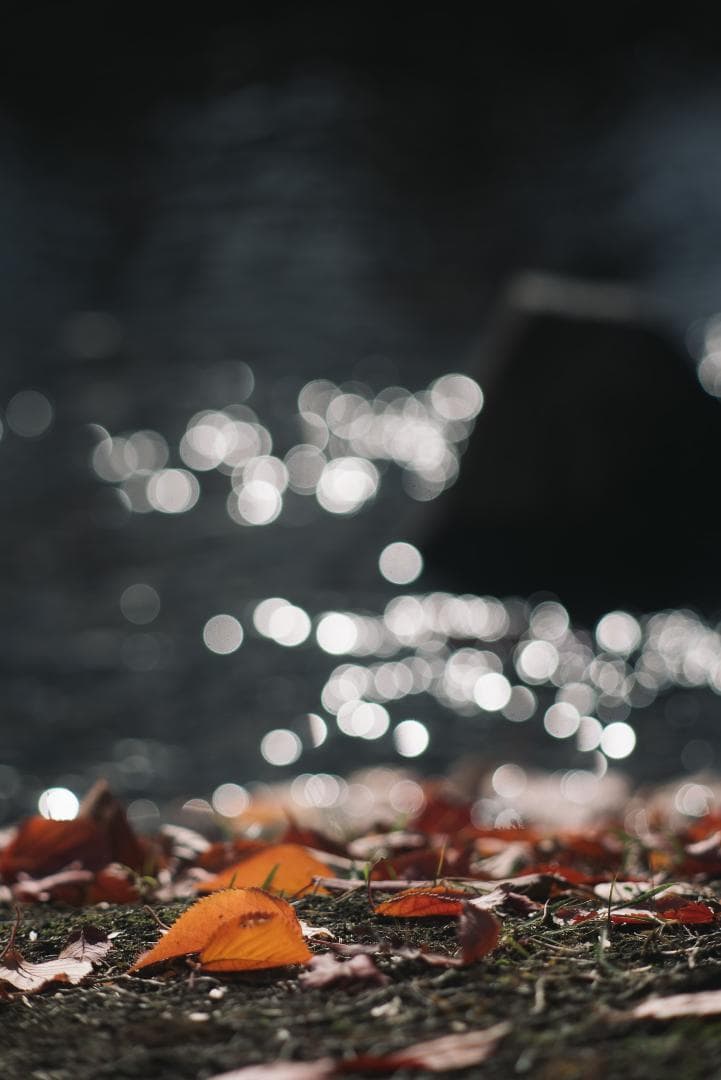 ライカの初の望遠！Leica Telyt 200mm F4.5 オールドレンズ