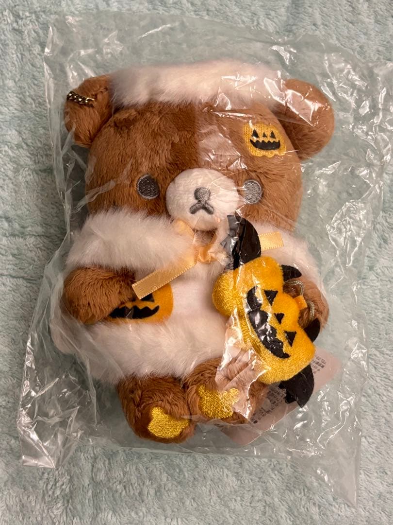 レア　ダークネスハロウィン　チャイロイコグマぬいぐるみ2021年