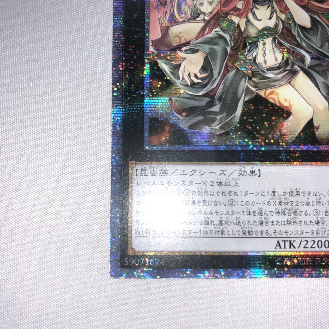 アロメルスの蟲惑魔 20thシークレット アジア 亜シク アルメロスの蟲惑魔