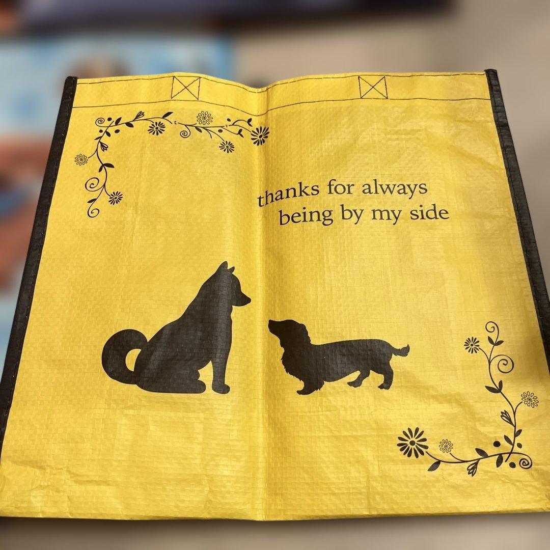 専用エコバッグ