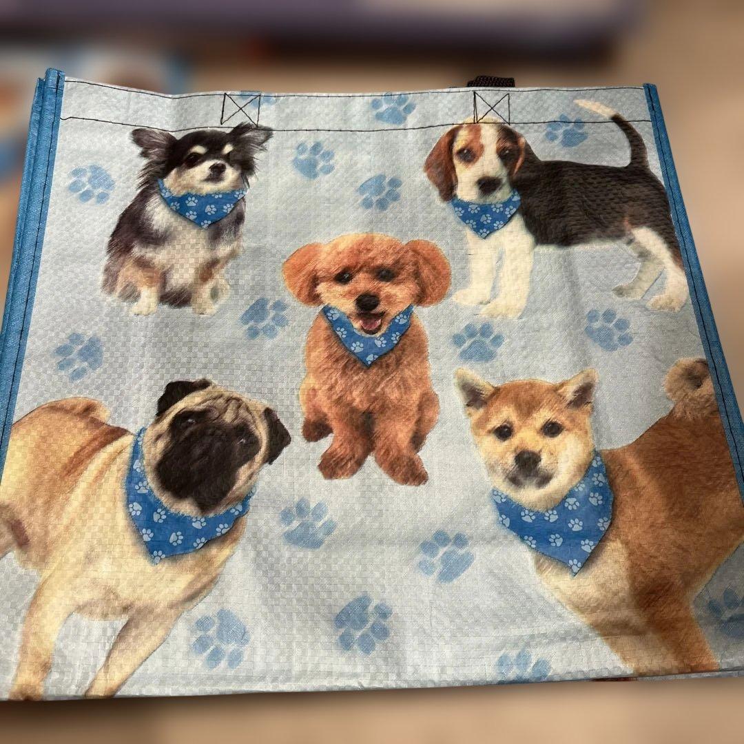 専用エコバッグ