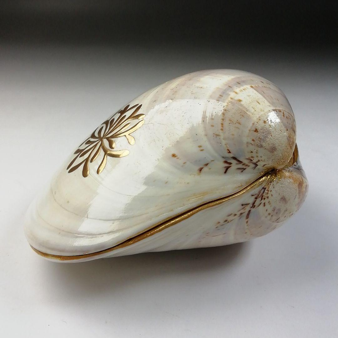 Ｔ７４７　香合　『海松絵　蛤香合』『伊藤表正』　共箱　茶道具