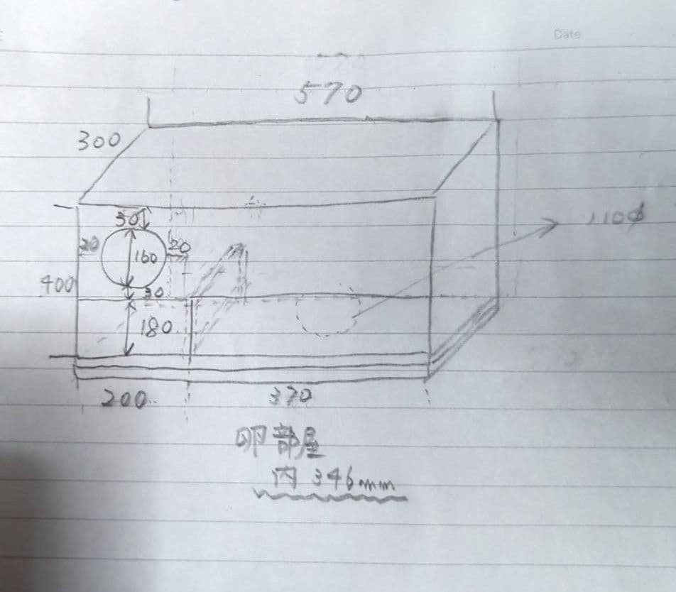 大型　巣箱　小鳥