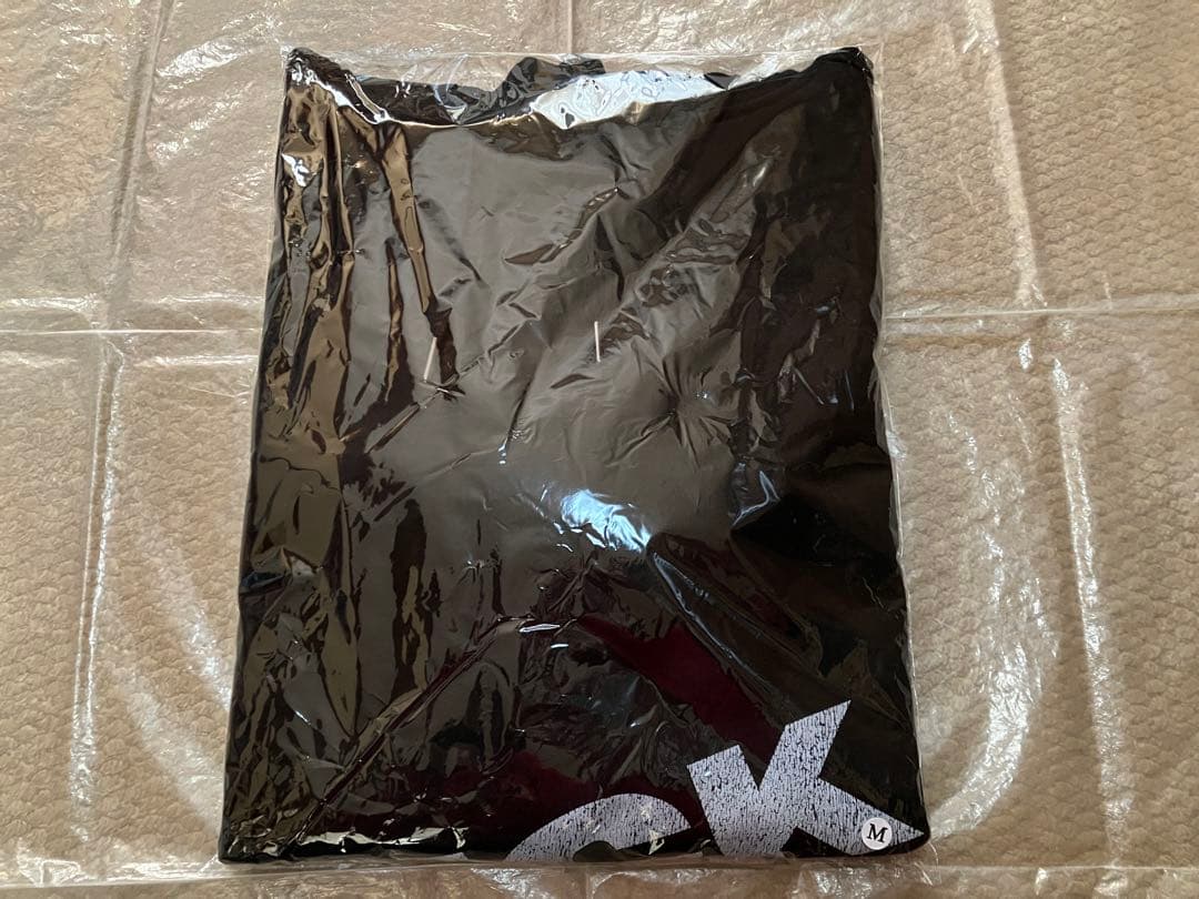 JSF MORTAR コラボ Dickies ワークパンツ パーカー セット